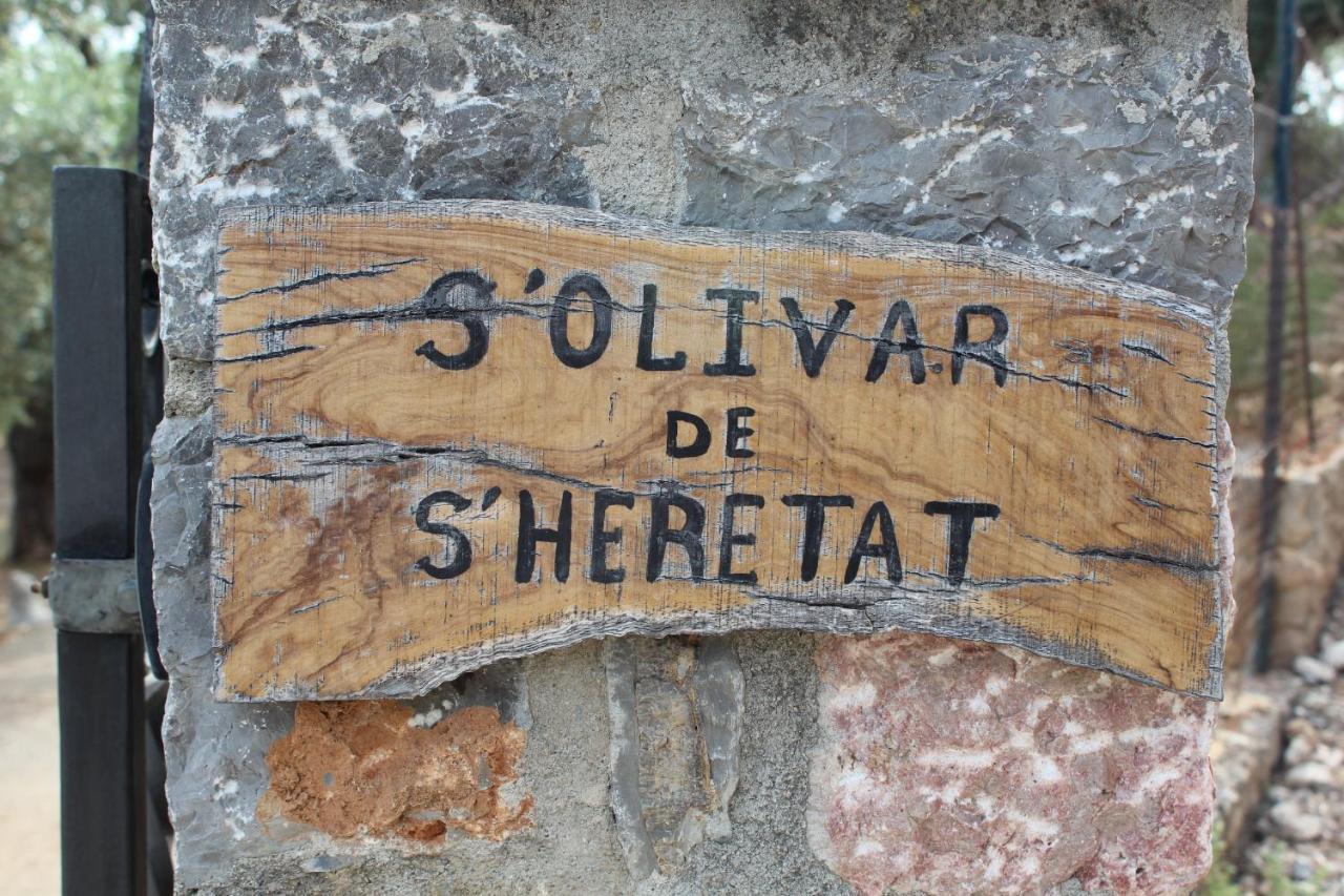 Olivar De S'heretat Trekking/ruta Gr-221 Apartment *
